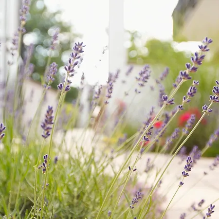 Naturhotel Ruegers Forstgut