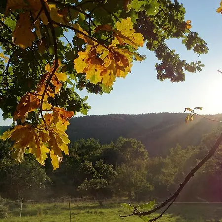 Naturhotel Ruegers Forstgut Hotel Mespelbrunn