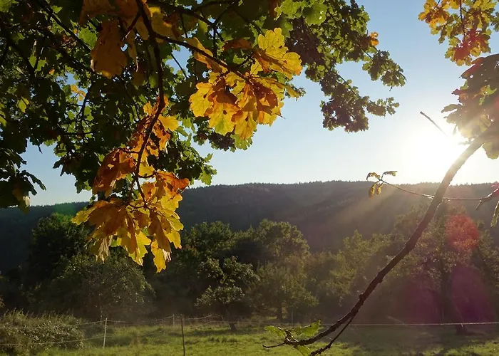 Naturhotel Ruegers Forstgut Hotel Mespelbrunn